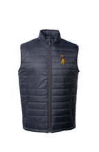 Load image into Gallery viewer, Mens Puffer Vest